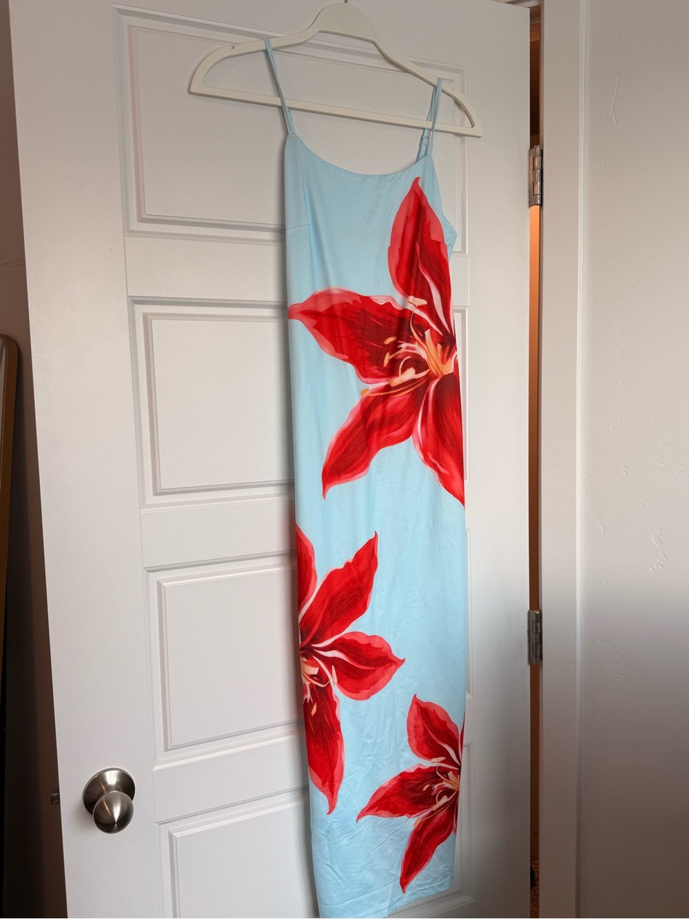 Sky Blue Maxi Slip Dress with Red Floral Motif